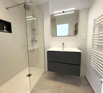 a bathroom with a sink and a shower with a mirror at Villa Canoe - Appartement 2 pièces in Santa-Maria-Poggio