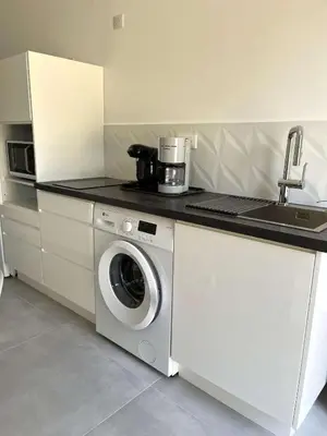 a kitchen with a washing machine and a sink at Villa Canoe - Appartement 2 pièces in Santa-Maria-Poggio