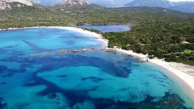 an aerial view of a beach with a shark in the water at Villa avec Piscine in Pianottoli-Caldarello