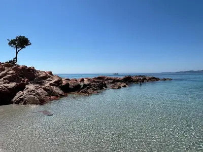 a beach with rocks and a tree on the water at Villa neuve d'exception 6ch SPA Piscine in Conca