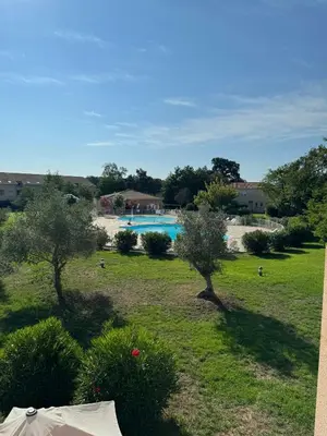a yard with a swimming pool and two trees at Mini villa Corse in Santa-Maria-Poggio