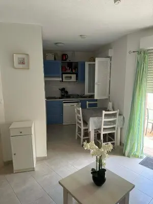 a kitchen and living room with a table and chairs at Mini villa Corse in Santa-Maria-Poggio