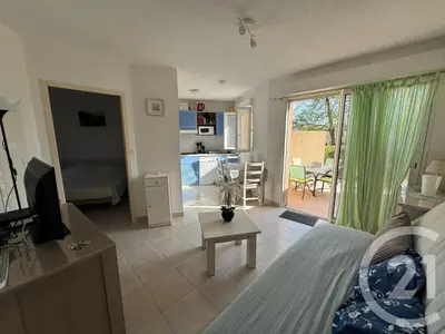 a living room with a couch and a tv and a kitchen at Mini villa Corse in Santa-Maria-Poggio