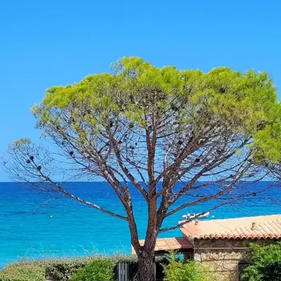 Dormir en Corse du Sud T3 4 pers Vue Mer