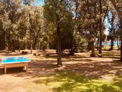a bench in a park with trees and grass at Maison en corse in Santa-Maria-Poggio