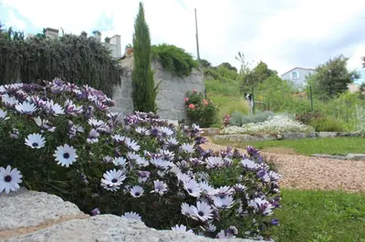 a garden with purple and white flowers in a yard at Logement T2 Villa Bavella Vista in Quenza