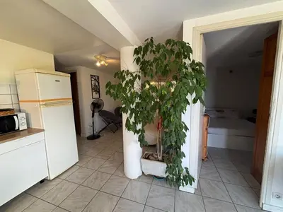 a kitchen with a potted plant on the wall at Rez de villa de 45 m2 Afa calme et fleuri in Afa