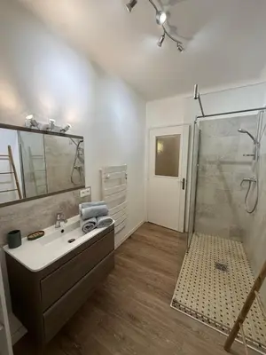 a bathroom with a sink and a shower at Grand T2 Ajaccio - Proche port et transports in Ajaccio