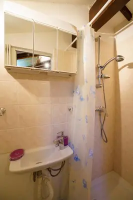 a bathroom with a sink and a shower at A nostra casetta corsa,Tania, en bord de mer in Ghisonaccia