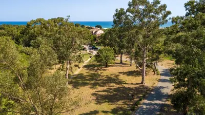 an overhead view of a path between trees and the ocean at A nostra casetta corsa,Tania, en bord de mer in Ghisonaccia