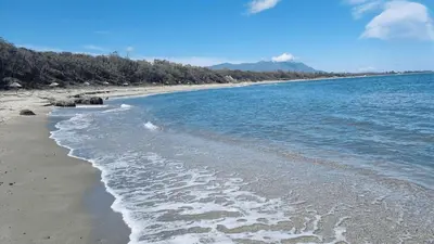 a beach with the ocean and trees in the background at Corsica Beach, Paddleboarding, Pool & Hiking J159 in Linguizzetta