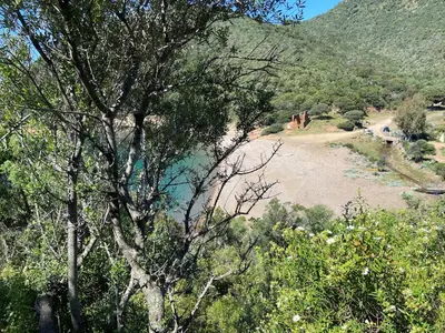 a view of a river with trees and a mountain at Petit cocon près des Calanques de Piana in Porto Ota