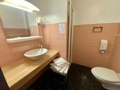 a bathroom with a sink and a toilet at Petit cocon près des Calanques de Piana in Porto Ota