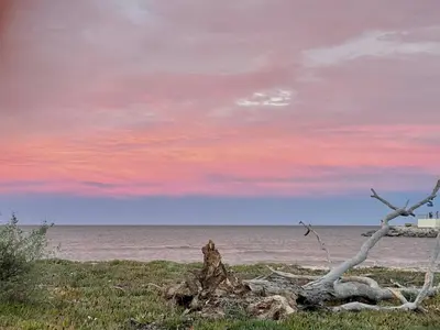 a tree stump on the beach at sunset at Appartement pieds dans l'eau sur Port de Plaisance in Sari Solenzara