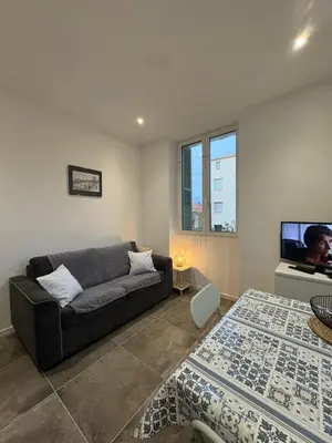 a living room with a couch and a television at Appartement plein centre avec jardin de 40m2 près des plages in Propriano