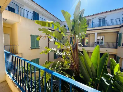 a balcony of a building with a plant at Charmant T2 sur le Port de Plaisance de Solenzara in Sari Solenzara