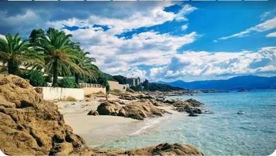 a beach with rocks and palm trees and the ocean at Le Balcon des Sanguinaires - studio cosy avec vue sur le Golfe d'Ajaccio et les Îles Sanguinaires in Ajaccio