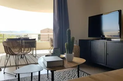 a living room with a television and a table with a cactus at Beautiful modern 4-star apartment with swimming pool and Wi-Fi in Porto-Vecchio