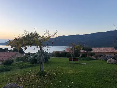 a tree with fruit on it in a field at Appartement 4 personnes - Soléa 137 - Vue Mer in Serra-di-Ferro