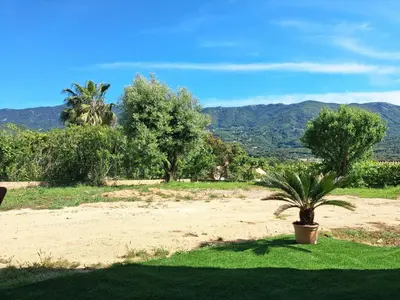 a potted plant sitting in the middle of a field at Lumineux studio entre terre et mer à 2min de la plage in Calcatoggio