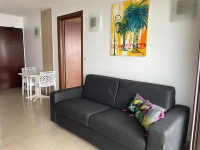 a black couch in a living room with a painting at Ajaccio Sanguinaires - 3p - Terrasse - Piscine in Ajaccio