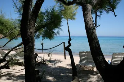 a beach with two chairs and trees on the beach at Villa with pool, sea view, Ste Lucie de Porto-Vecchio in Conca