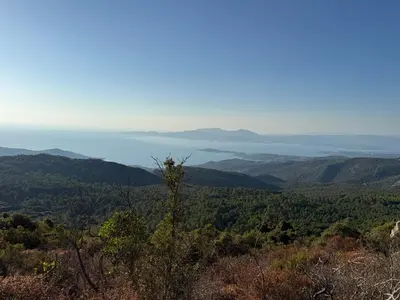 a view from the top of a hill with trees and water at Villa Solanella in Coti-Chiavari