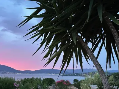 a palm tree sitting next to a body of water at Pietrosella Canelli Sea View in Pietrosella