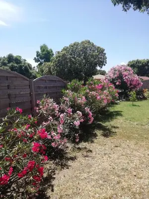 a row of flowers in front of a fence at Villa sur Travo , Solenzara in Vaccili