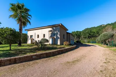 a house with a palm tree and a dirt road at Villa Maria Magdalena - Avec piscine in Sari Solenzara