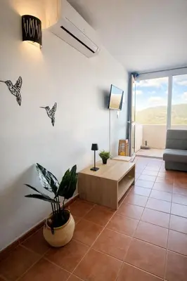 a living room with a couch and a plant at Appartement 4 personnes - Soléa 229 - Vue Mer in Serra-di-Ferro