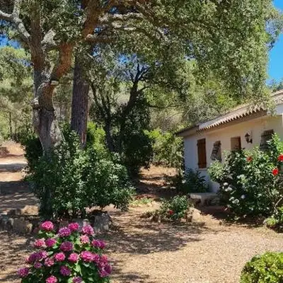 Villa pour4 pers à 700m de la plage de palombaggia