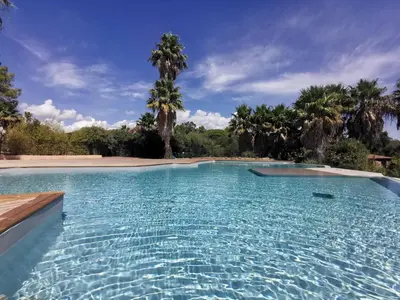 a swimming pool with blue water and palm trees at A Marinca - Plage privée et piscine chauffée in Pianottoli-Caldarello