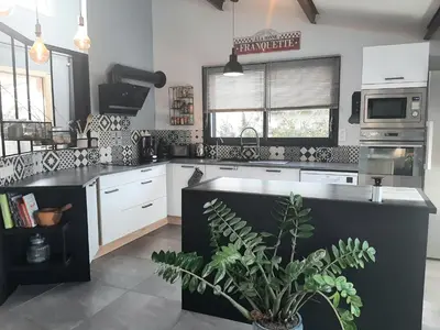 a kitchen with a black counter and a plant at Villa LICCIA in Prunelli-di-Fiumorbo