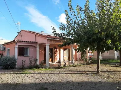 a pink house with a tree in front of it at Villa LICCIA in Prunelli-di-Fiumorbo