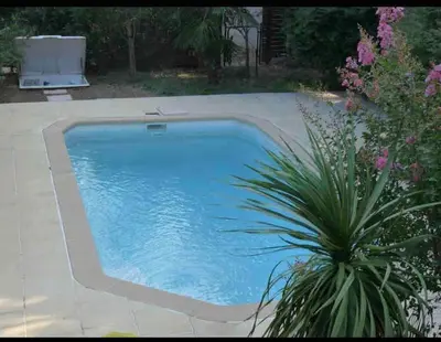 a swimming pool in a yard with a plant at Villa avec vue et piscine privée in Moltifao