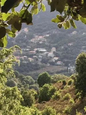a view of a city from a hill with trees at Villa avec vue et piscine privée in Moltifao