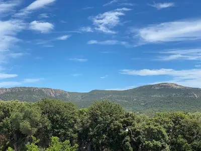 a view of trees and mountains under a blue sky at Entire air-conditioned accommodation, Porto Vecchio center in Porto-Vecchio