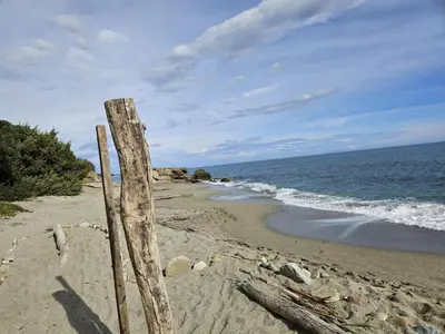a wooden post on a beach near the ocean at Location appartement 6 pers les marines de Bravone in Linguizzetta