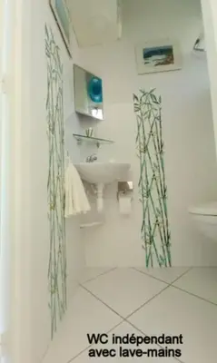 a bathroom with a sink and a toilet in a room at Appartement les pieds dans l'eau in Calcatoggio