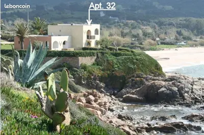 a house on a cliff next to a beach at Appartement les pieds dans l'eau in Calcatoggio