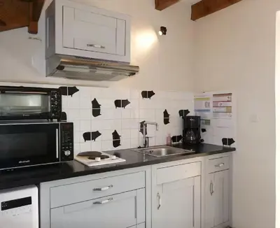 a kitchen with a microwave and a sink at Agréable triplex Nelly situé en moyenne montagne in Cristinacce