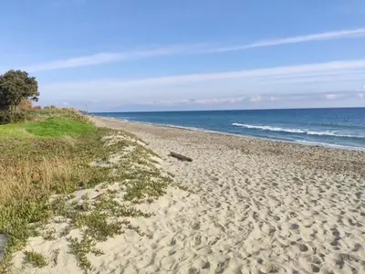 a sandy beach with the ocean in the background at T3 - accès direct plage dans résidence avec piscine in Poggio-Mezzana