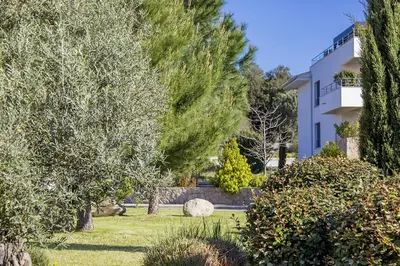 a view of a house with trees and a yard at Domaine d'Arca - Hugo 01 - 5 personnes in Porto-Vecchio