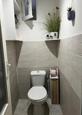 a small bathroom with a toilet and a plant at Chez MANI in Eccica-Suarella