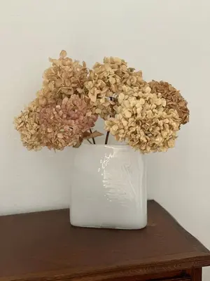 a white vase with flowers in it on a table at Maison de village typique en Corse mer montagne