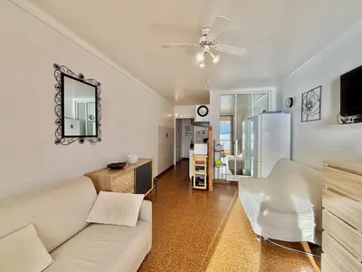 a living room with a couch and a mirror at Studio terrasse vue mer Tiuccia in Calcatoggio