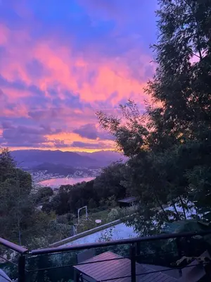 a view of a sunset from a hill with trees at Villa avec piscine et vue sur la baie d'Ajaccio in Ajaccio