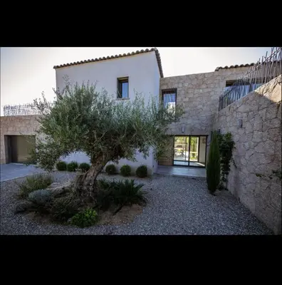 a large white house with a tree in front of it at Villa l'orangerie, 2 chambres , Piscine, 4personnes in Lecci