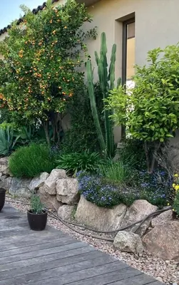 a garden with flowers and plants on a wooden walkway at Large Family Villa, exceptional sea view in Coti-Chiavari